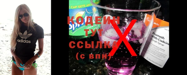 шишки Аркадак