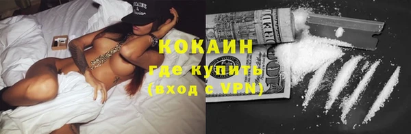 шишки Аркадак