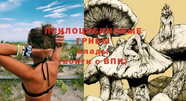 ALPHA-PVP Осинники