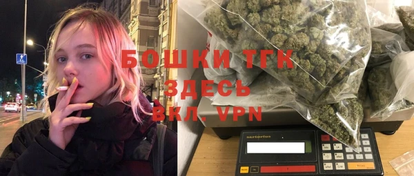 шишки Аркадак