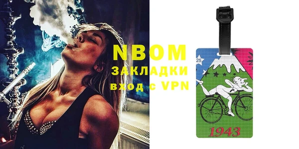 шишки Аркадак