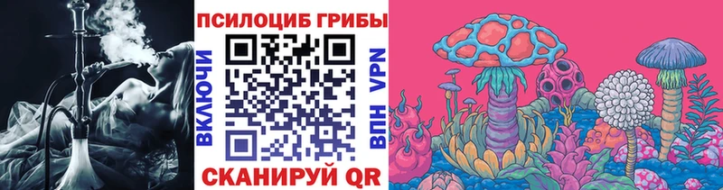 блэк спрут зеркало  Богородицк  даркнет как зайти  Галлюциногенные грибы мицелий 